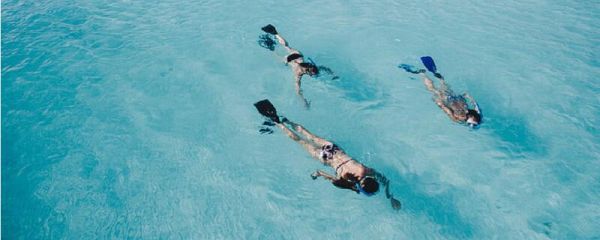 有氧运动有哪些 有哪些是有氧运动