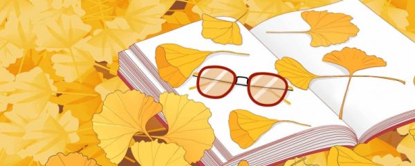 缅北是属于哪个国家 缅北是金三角吗