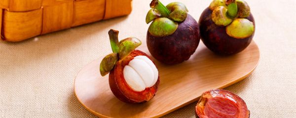 山竹长在土里还是树上 山竹长在树上还是土里