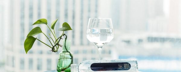 吸收甲醛的植物 吸收甲醛的植物有哪些