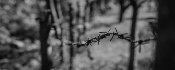 铁丝在空气中燃烧的现象 铁丝在空气中燃烧的现象是什么