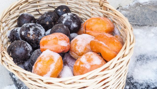 吃冻柿子上火吗 吃冻柿子会上火吗