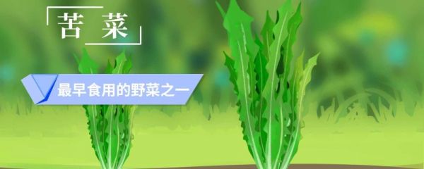 小满有哪些农作物 小满吃什么