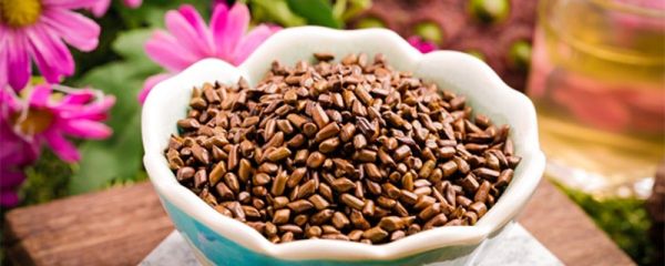 茶道手势及礼仪 茶道手势及礼仪有哪些