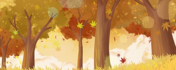 环境日我国有什么措施 我国环境日是几月几号