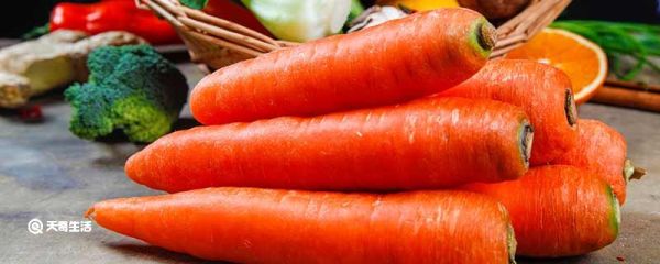 胡萝卜长什么样 胡萝卜的生长习性