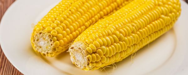 夏季新鲜玉米怎么保存不老 新鲜玉米怎么煮好吃