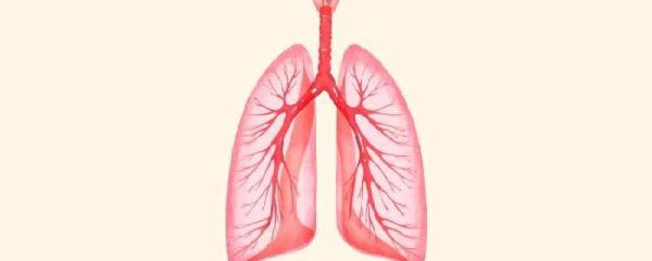 白肺是怎么出现的 怎么预防白肺