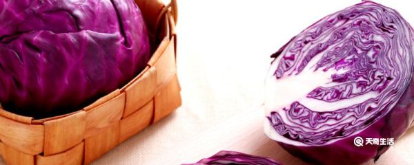 绿甘蓝和圆白菜的区别 绿甘蓝和圆白菜的区别是什么