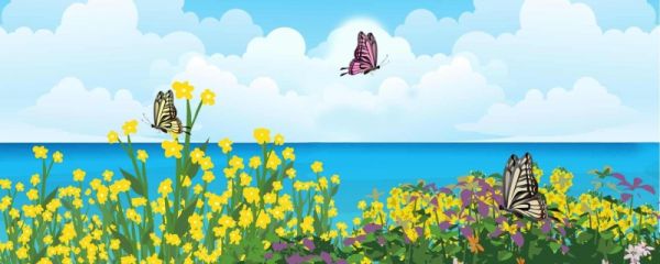 春分养生的禁忌 养生原则是什么