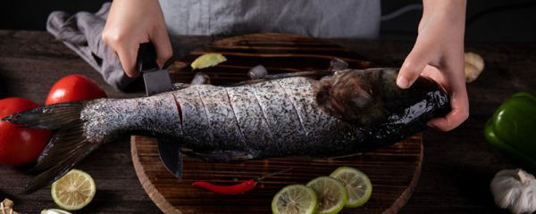 黄脚立鱼是淡水鱼还是海鱼 黄脚立鱼是海鱼吗