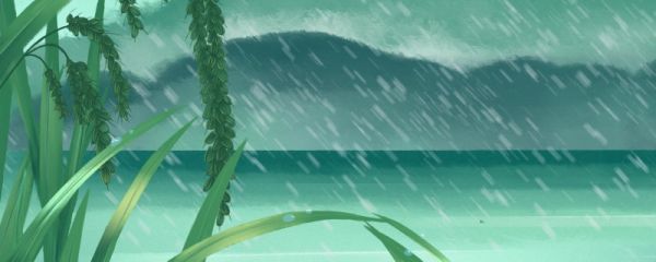 雨水节气天气的主要特征 雨水节气的物候现象