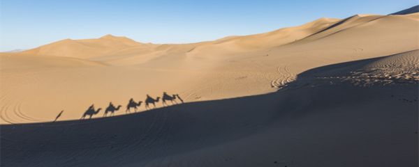 河西五市是哪五市 河西五市是哪五市啊