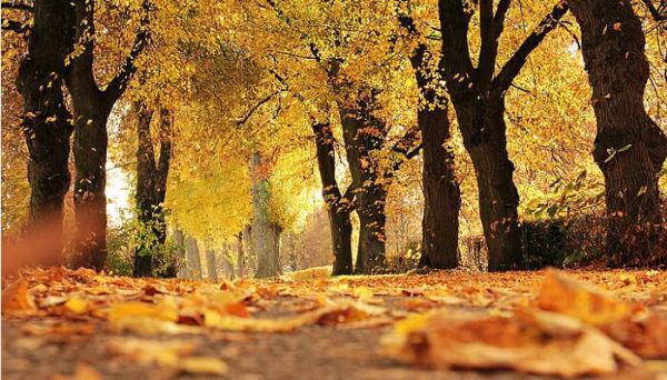 一个季度是几个月   求解一个季度是几个月