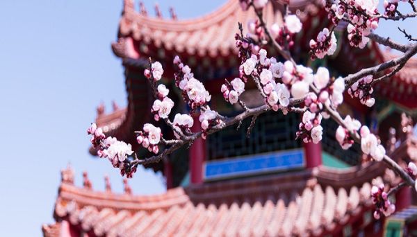 陌上花开 可缓缓归矣什么意思  陌上花开可缓缓归矣怎么解释