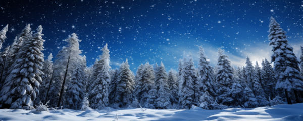 大寒的食物有哪些 大寒节气怎么养生