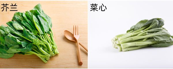 芥兰和菜心的区别 芥兰和菜心是一种菜吗