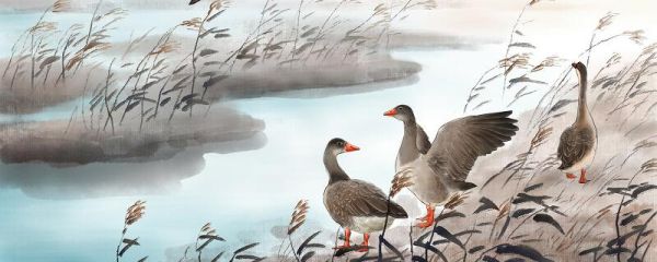 白露节气的含义是什么 二十四节气的白露是什么意思