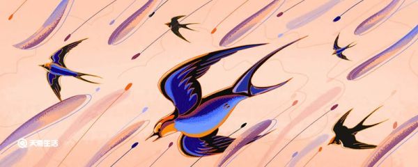 世界上飞的最快的鸟是什么鸟 世界上最快的鸟是什么鸟