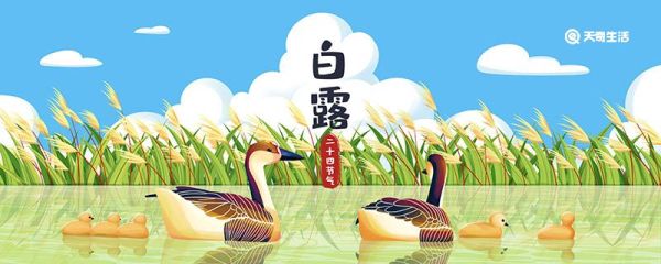 白露节气农作物特点 白露节气气象变化