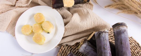 甘蔗产地主要在哪个省 甘蔗产地主要在哪里