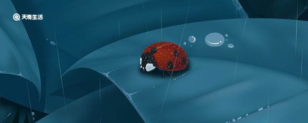 为什么有些昆虫在寒冷的冬天冻不死 有些昆虫为什么在寒冷的冬天冻不死