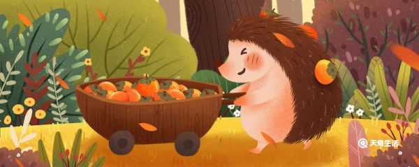 刺猬吃什么 刺猬吃什么食物