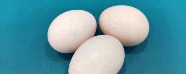 春分竖蛋游戏方法 竖蛋怎么玩