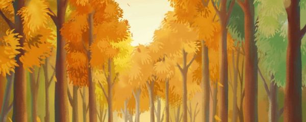 白露节是什么节日 白露节气气候特点