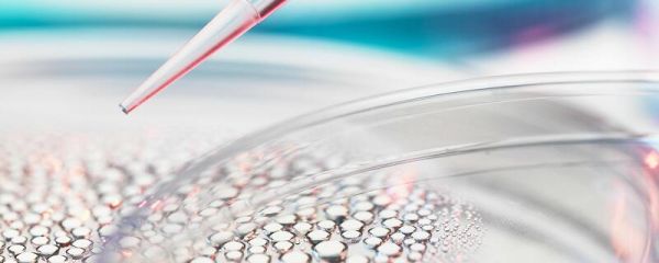 化合价口诀 初中化合价口诀