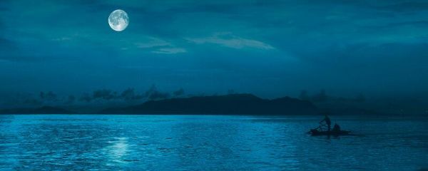 白月光是什么意思 白月光的含义是什么