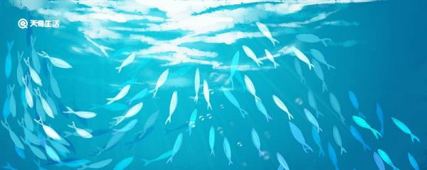 为什么鱼死后会翻白肚 鱼死后会为什么翻白肚