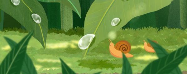 雨水是春天的第几个节气 雨水节气的天气变化