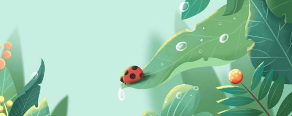 小满节气前后饮食禁忌 小满节气养生小贴士有哪些