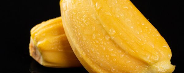 菠萝蜜内芯发黑 菠萝蜜心发黑