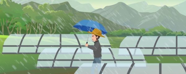 雨水节气是春季吗 雨水节气是下雨吗