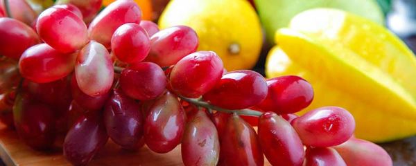 提子皮可以吃吗 提子皮能吃吗