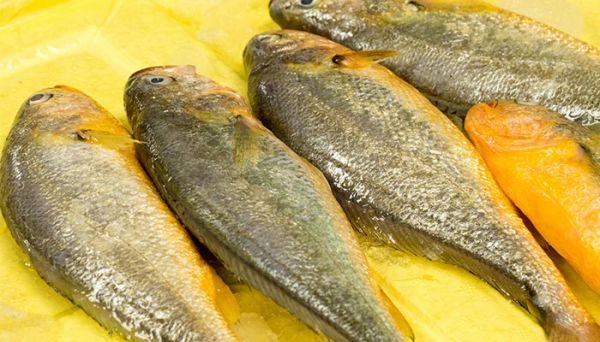 吃明太鱼干有什么禁忌 吃明太鱼干有什么要注意的