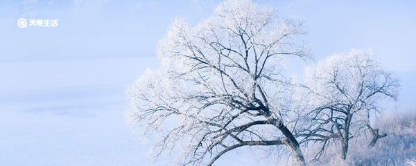 雪的句子短句唯美 感受雪景的心情短语