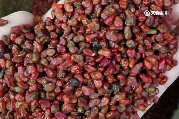 枝仁的功效与作用 枝仁的功效与作用及禁忌