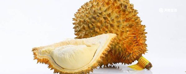 如何选榴莲皮薄肉多 怎么选榴莲皮薄肉多