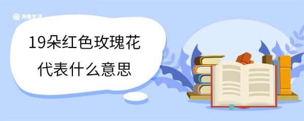 19朵红色玫瑰花代表什么意思 红色玫瑰的花语是什么