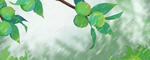 过了谷雨属于是什么季节 谷雨过后怎么养生