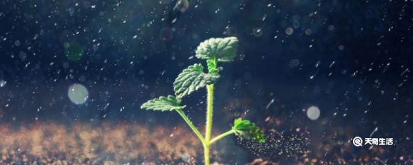 简短可爱名字呆萌 女生网名可爱超萌