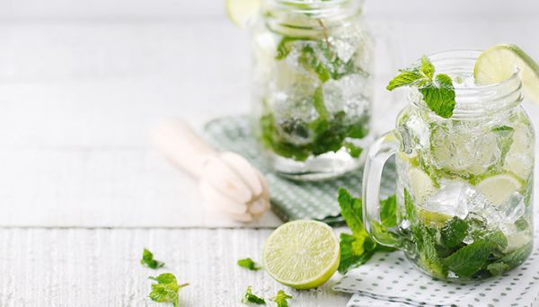 冬瓜荷叶茶的功效 冬瓜荷叶茶的作用