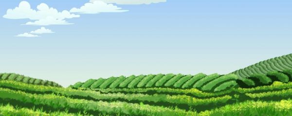 谷雨茶是什么时候的茶 和明前茶有何区别