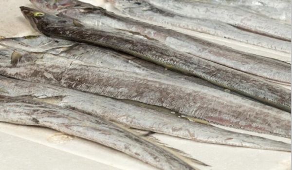 带鱼表层的银鲮需要清洗吗 带鱼表层的银鲮需要清洗么