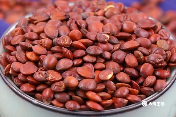 炒枣仁的功效与作用 炒枣仁的功效作用