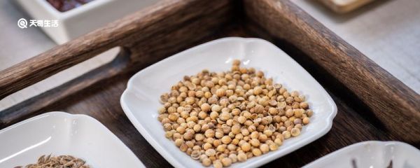 耶香子豆是什么东西 耶香子豆是什么