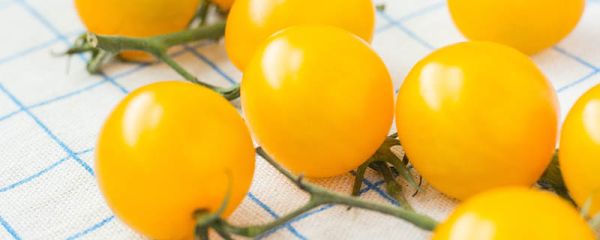 绿色食品指什么食品 绿色食品分为几个等级